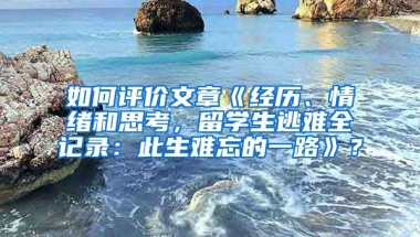 如何评价文章《经历、情绪和思考，留学生逃难全记录：此生难忘的一路》？