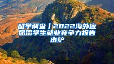 留学调查丨2022海外应届留学生就业竞争力报告出炉