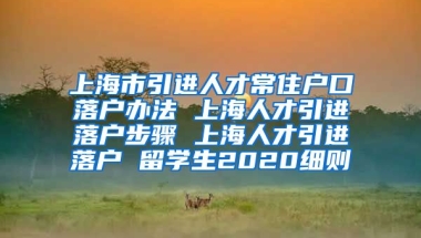 上海市引进人才常住户口落户办法 上海人才引进落户步骤 上海人才引进落户 留学生2020细则