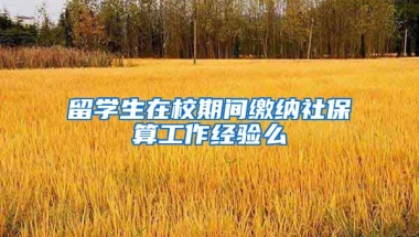 留学生在校期间缴纳社保算工作经验么