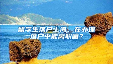 留学生落户上海，在办理落户中能离职嘛？