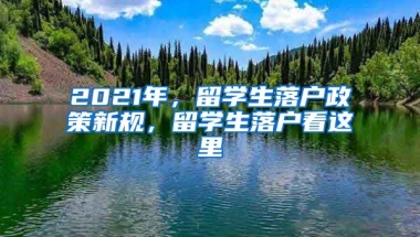 2021年，留学生落户政策新规，留学生落户看这里