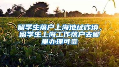 留学生落户上海地址咋填，留学生上海工作落户去哪里办理可靠