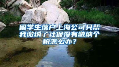 留学生落户上海公司只帮我缴纳了社保没有缴纳个税怎么办？