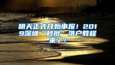 深圳市社保局提醒：社保费减免到年底，延缴企业别忘报备