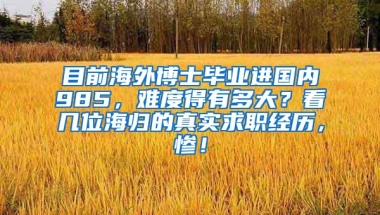 目前海外博士毕业进国内985，难度得有多大？看几位海归的真实求职经历，惨！