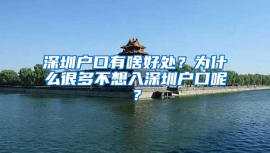 留学生不吃香了？大批海归回国找工作遇冷，学历或成为“废纸”