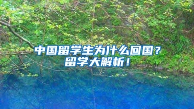 中国留学生为什么回国？留学大解析！