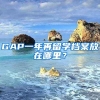 GAP一年再留学档案放在哪里？