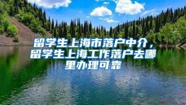 留学生上海市落户中介，留学生上海工作落户去哪里办理可靠