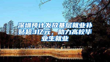 最后13天！深圳这个免学历入户申请即将截止！错过可能就没了