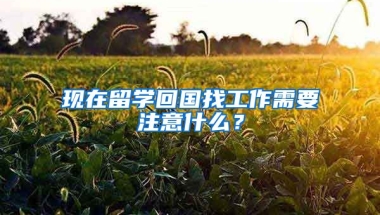 现在留学回国找工作需要注意什么？