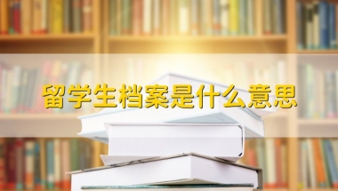 留学生档案是什么意思