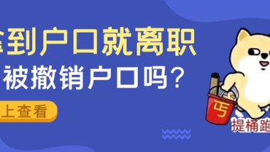 留学生拿到户口就离职，会被撤销户口吗？