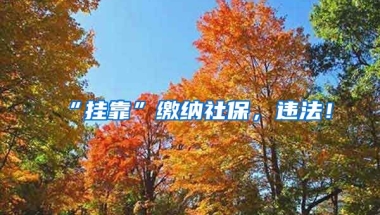 “挂靠”缴纳社保，违法！