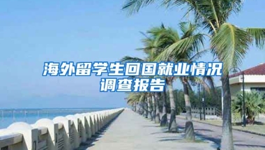 海外留学生回国就业情况调查报告