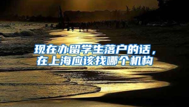 现在办留学生落户的话，在上海应该找哪个机构