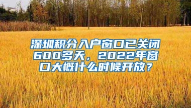 2022缴费比例？深圳社保个人和公司分别交多少？