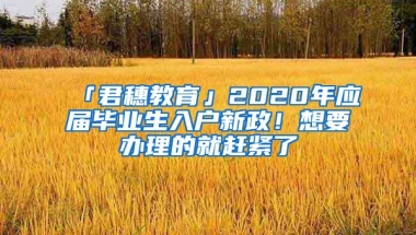 2019应届生入户深圳申报系统启动！本科人才补贴最高达三万！