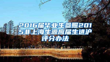 自从新政公布后，出现了一条属于留学生的激励政策