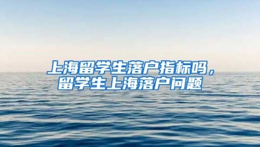 上海留学生落户指标吗，留学生上海落户问题