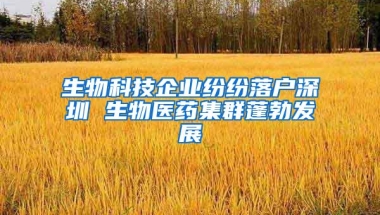 深圳户籍新政新增居住社保入户渠道