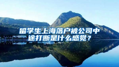 留学生上海落户被公司中途打断是什么感觉？