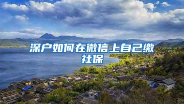 2019年深圳社保缴费基数是多少？