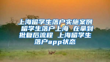 上海留学生落户实施案例 留学生落户上海 在拿到批复后流程 上海留学生落户app状态