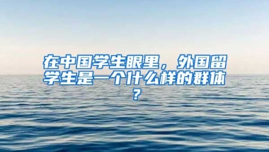 在中国学生眼里，外国留学生是一个什么样的群体？