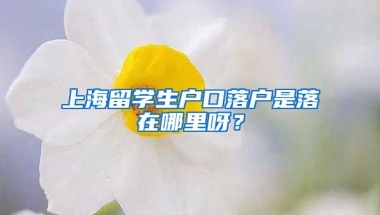 上海留学生户口落户是落在哪里呀？