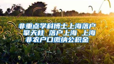 重磅！留学生回国落户上海新政正式实施！部分条件放宽！！