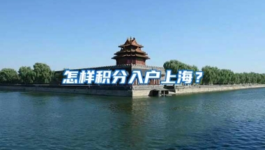 在深圳交了13年社保，现在想要回老家发展，社保该怎么处理？