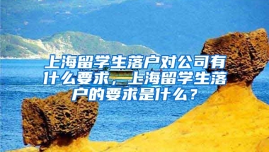 上海留学生落户对公司有什么要求，上海留学生落户的要求是什么？