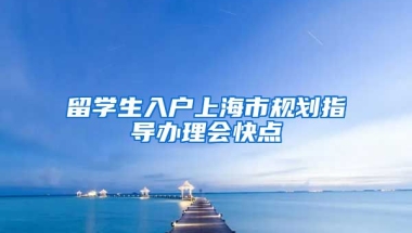 留学生入户上海市规划指导办理会快点