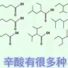 留学回国人员申办上海落户家属随迁需材料一览？上海小孩落户