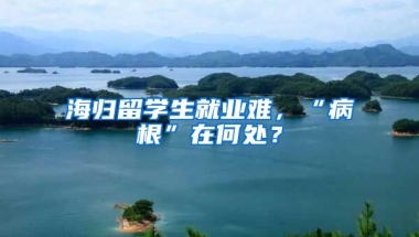 海归留学生就业难，“病根”在何处？