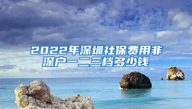 深圳市人才引进租房补贴：本科1万5，硕士2万5，博士3万！