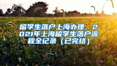 留学生落户上海办理，2021年上海留学生落户流程全记录（已完结）