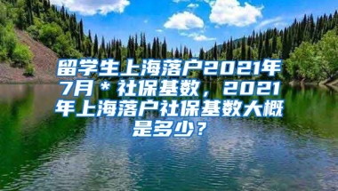 留学生上海落户2021年7月＊社保基数，2021年上海落户社保基数大概是多少？