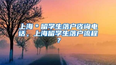 上海＊留学生落户咨询电话，上海留学生落户流程？