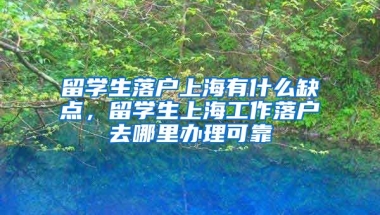 留学生落户上海有什么缺点，留学生上海工作落户去哪里办理可靠