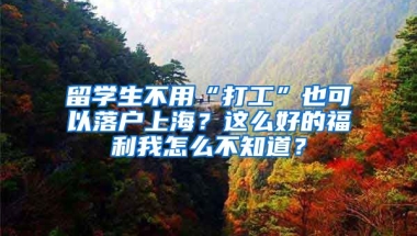 留学生不用“打工”也可以落户上海？这么好的福利我怎么不知道？