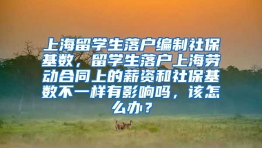 上海留学生落户编制社保基数，留学生落户上海劳动合同上的薪资和社保基数不一样有影响吗，该怎么办？