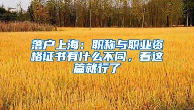 留学生落户上海：进大公司还是小公司好？