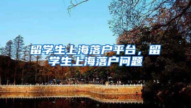 留学生上海落户平台，留学生上海落户问题