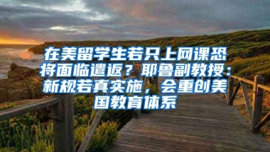 在美留学生若只上网课恐将面临遣返？耶鲁副教授：新规若真实施，会重创美国教育体系