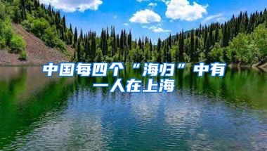 中国每四个“海归”中有一人在上海