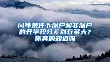 最高6万！2019年落户深圳，怎么入深户拿钱最多？