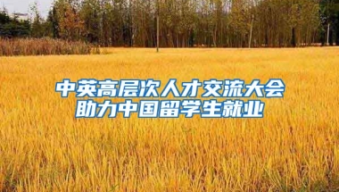 中英高层次人才交流大会助力中国留学生就业